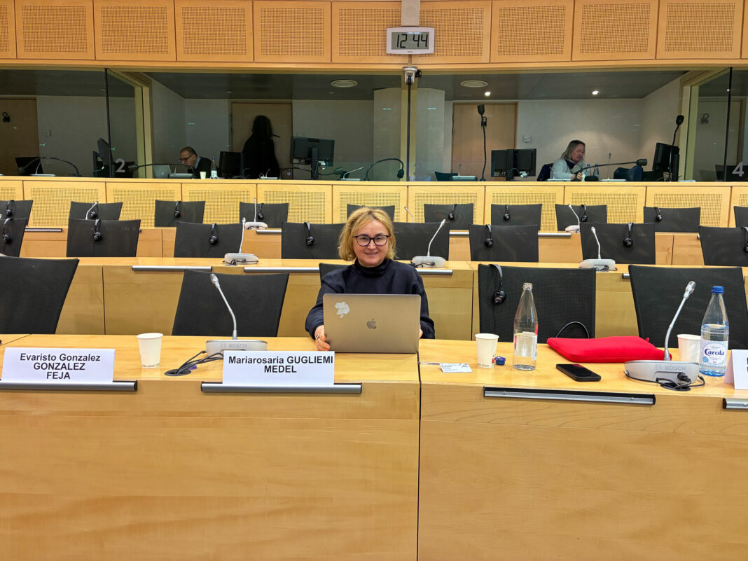 Mariarosaria Guglielmi at the 26th Plenary Meeting of the Consultative Council of European Judges (CCJE)